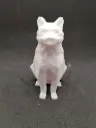 Chat poly