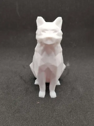 Chat poly